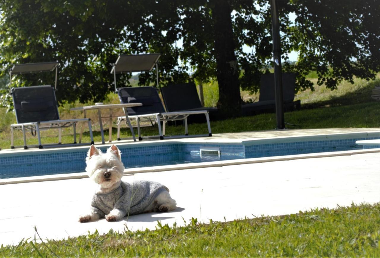 Vila Le Shedeaux Saint-Privat-des-Prés Exteriér fotografie